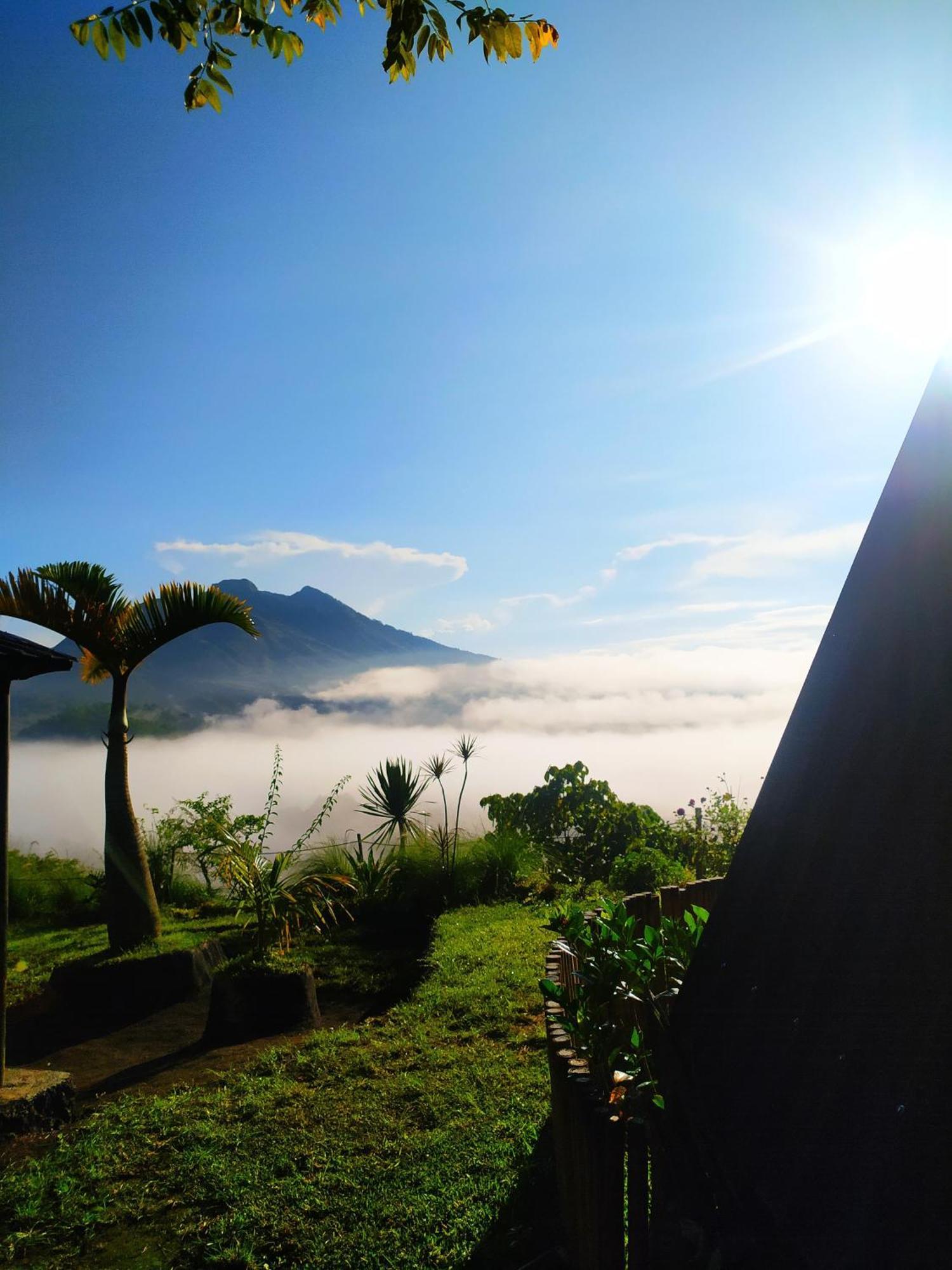 Adventures 'hide In Nature Lodge' Kintamani (Bali)